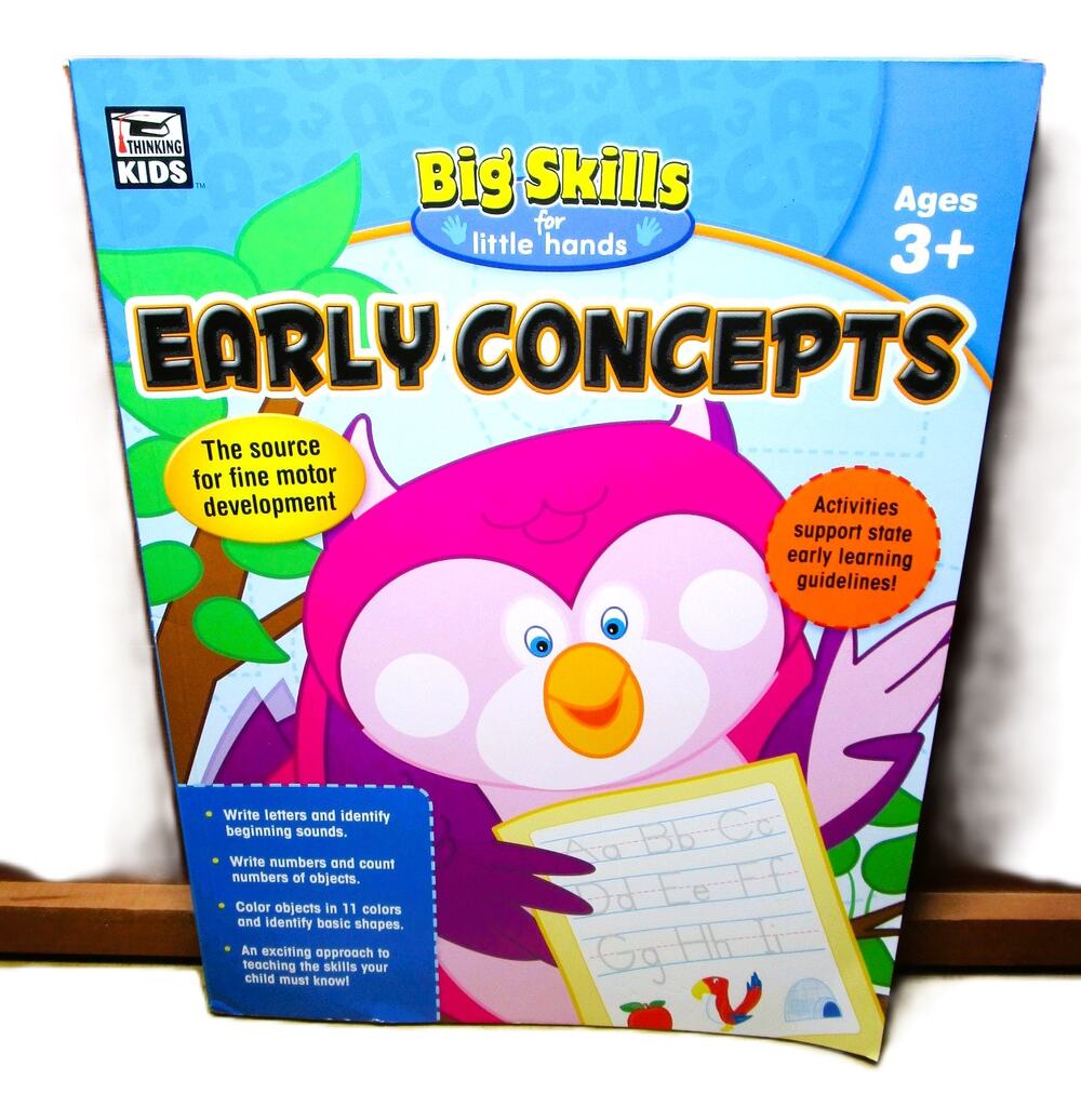 Big Skills for Little Hands Workbook Early Concepts Letters Numbers Shapes 2016